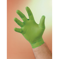 Gants N-Dex, Grand, Nitrile, 4 mils, Sans poudre, Vert D. Morneault & Fils