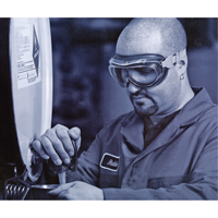 Uvex&reg; Flex Seal Safety Goggles, 3.0 Lens, Anti-Fog, Indirect Vent D. Morneault & Fils