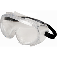 Encompass Safety Goggles, Clear Lens, Anti-Fog, Indirect Vent D. Morneault & Fils