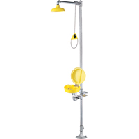 Combination Shower Eye/Face Wash With Cover D. Morneault & Fils