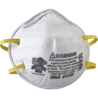 8110S Particulate Respirators, N95, NIOSH Certified, Small D. Morneault & Fils