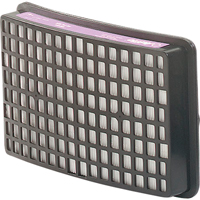 Protection respiratoire Speedglas - Filtres et cartouches de recharge, Filtre P100, Paquet de 2 D. Morneault & Fils
