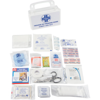 First Aid Kit, Class 1 Medical Device, Plastic B D. Morneault & Fils