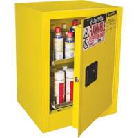 Armoire de s&eacute;curit&eacute; d'&eacute;tabli pour produits inflammables EX Sure-Grip, 24 gal., 1 Porte(s), 21" La x 27" h x 18" p D. Morneault & Fils