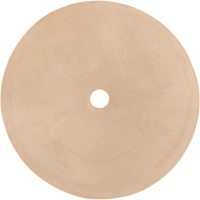 Survivair&reg; Inhalation Valve D. Morneault & Fils