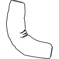 Manchettes, Longueur de 18", Tyvek 400, Blanc D. Morneault & Fils