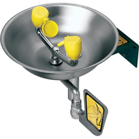 Poste de douche oculaire/faciale, Installation Montage mural, Bol Acier inoxydable D. Morneault & Fils