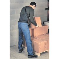 Bodybelt, Elastic, Small D. Morneault & Fils