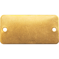 Blank Tags, Brass, 2" W x 1" H D. Morneault & Fils
