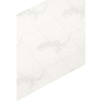 Premium Anti-Skid Tape, 4" x 60', Clear D. Morneault & Fils