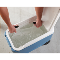 6215 Phase Change Packs for Cooling Vests D. Morneault & Fils