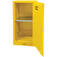 Flammable Storage Cabinet, 16 gal., 1 Door, 23" W x 44" H x 18" D D. Morneault & Fils