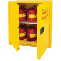 Flammable Storage Cabinet, 30 gal., 2 Door, 43" W x 44" H x 18" D D. Morneault & Fils