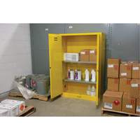 Flammable Storage Cabinet, 45 gal., 2 Door, 43" W x 65" H x 18" D D. Morneault & Fils