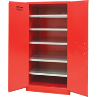Paint/Ink Cabinet, 96 gal., 5 Shelves D. Morneault & Fils