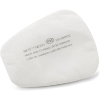 6000 Series Gas/Vapour Respirator Filters D. Morneault & Fils