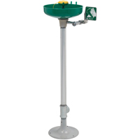 Axion&reg; Eye/Face Wash Station, Pedestal Installation, Plastic Bowl D. Morneault & Fils