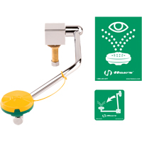 Eye/Face Wash Station, Sink Mount Installation D. Morneault & Fils