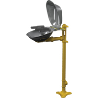 Halo Face/Eyewash Stations, Pedestal Installation, Stainless Steel Bowl D. Morneault & Fils