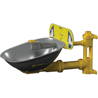 Halo Eyewash Stations, Wall-Mount Installation, Stainless Steel Bowl D. Morneault & Fils