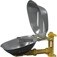 Halo Eyewash Stations, Wall-Mount Installation, Stainless Steel Bowl D. Morneault & Fils