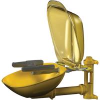 Halo Face/Eyewash Stations, Wall-Mount Installation, Plastic Bowl D. Morneault & Fils