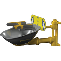 Halo Face/Eyewash Stations, Wall-Mount Installation, Stainless Steel Bowl D. Morneault & Fils