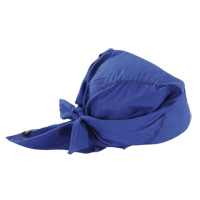 Chill-Its&reg; 6710 Cooling Triangle Hats, Blue D. Morneault & Fils