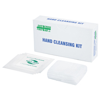 Hand Cleansing Kit, Towelette D. Morneault & Fils