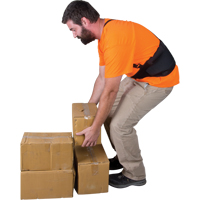 Support lombaire, &eacute;lastique, Petit D. Morneault & Fils