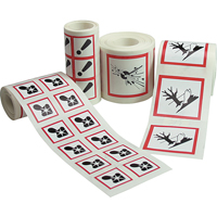 GHS Pictogram Labels, Vinyl, Roll, 4" L x 4" W D. Morneault & Fils