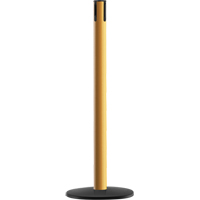 Advance TensaBarrier&reg; - Receiver Post, 36" High, Yellow D. Morneault & Fils