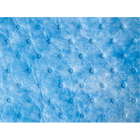 Oil Only Sorbent Sweep D. Morneault & Fils