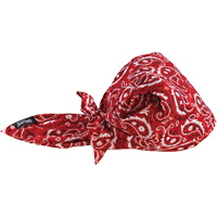 Chill-Its&reg; 6710CT Cooling Triangle Hats, Red D. Morneault & Fils
