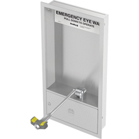 Eyewash Station, Wall-Mount Installation, Stainless Steel Bowl D. Morneault & Fils