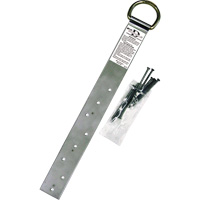 Miller&reg; Single Roof Anchor, D-Ring, Permanent Use D. Morneault & Fils