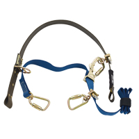 Cynch-Lok Web Pole Climbing Device D. Morneault & Fils