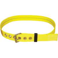 Ceinture avec boucle &agrave; ardillon Delta D. Morneault & Fils