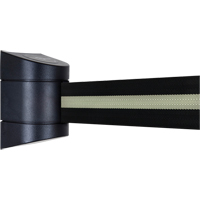 TensaBarrier&reg; Wall Mounted Units, Plastic, Screw Mount, 15', Black Tape D. Morneault & Fils