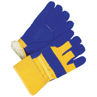 Ladies Fitter Gloves, Ladies, Grain Cowhide Palm, Cotton Inner Lining D. Morneault & Fils