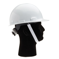 North&reg; 2 Point Hardhat Chinstrap D. Morneault & Fils