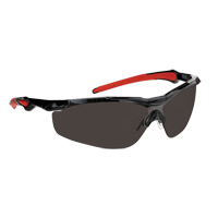 Dynamic Hawk Series Safety Glasses, Smoke Lens, Anti-Fog, ANSI Z87+/Meets/Exceeds CSA Z94.3 D. Morneault & Fils