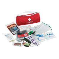 Dynamic Car First Aid Kit, Class 1 Medical Device, Nylon Bag D. Morneault & Fils