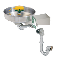 Axion&reg; Eye/Face Wash Station, Wall-Mount Installation, Stainless Steel Bowl D. Morneault & Fils