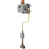 Emergency Eyewash Signaling System D. Morneault & Fils