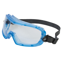 Uvex&reg; Entity Safety Goggles, Clear Lens, Anti-Fog, Indirect Vent D. Morneault & Fils