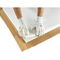 PX140 Coated Gloves, 6/X-Small, Polyurethane Coating, 15 Gauge, Nylon Shell D. Morneault & Fils