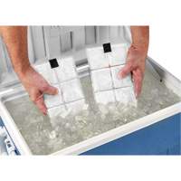 Chill-Its&reg; 6250 Phase Change Cooling Vest Packs D. Morneault & Fils