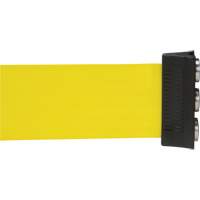 Wall Mount Barrier with Magnetic Tape, Steel, Screw Mount, 12', Yellow Tape D. Morneault & Fils