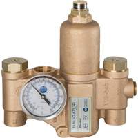 Robinet mitigeur thermostatique pour luminaires durgence Navigator EFX20, 30 gal./min D. Morneault & Fils